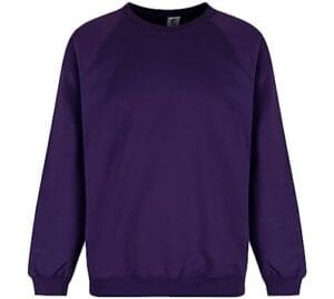 Purple Crew Neck Sweatshirt for Teens by Trutex